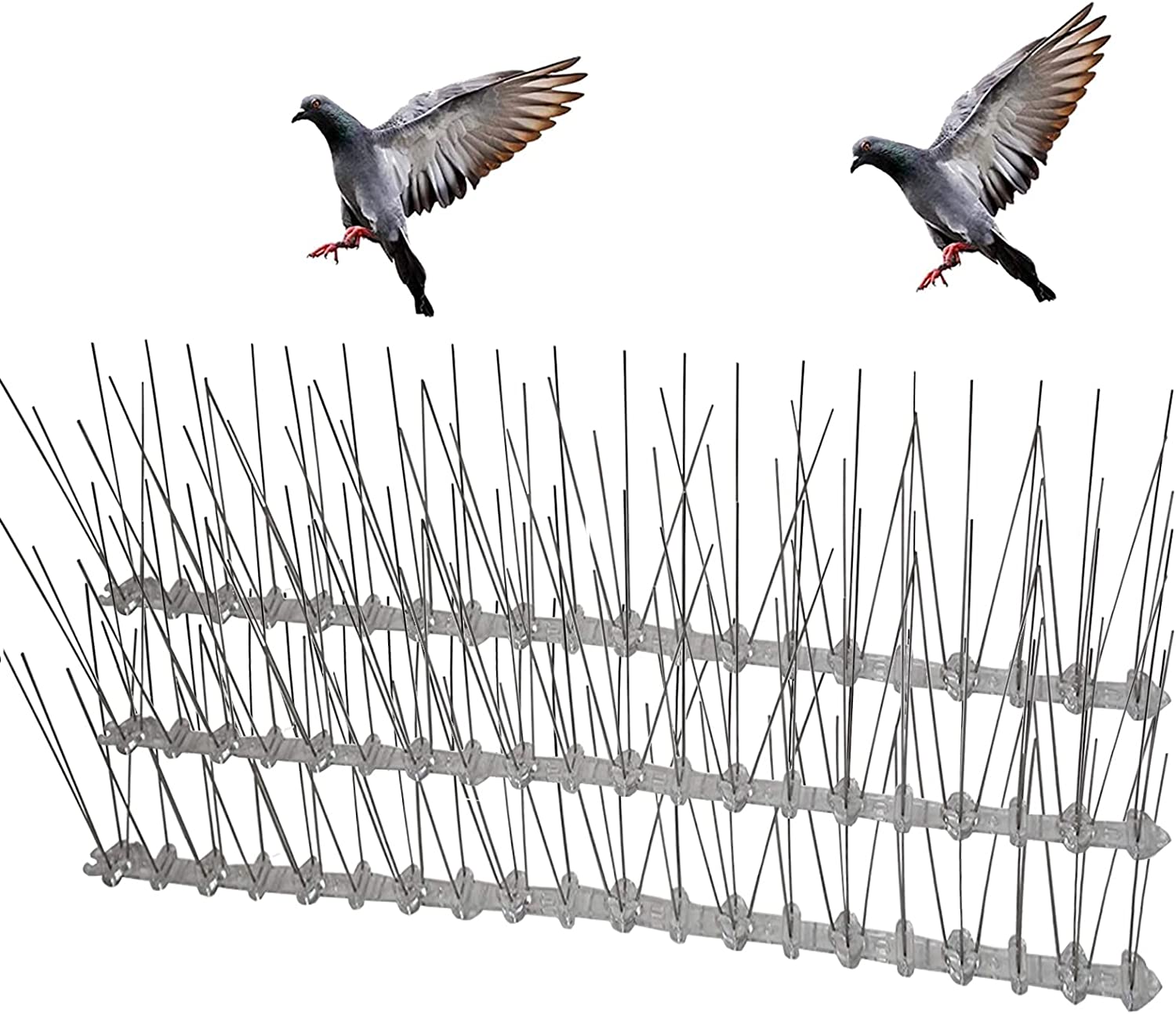 pigeon bird spikes in Coimbatore, India